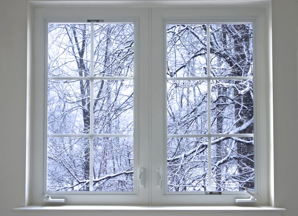 Beat Winter Pests