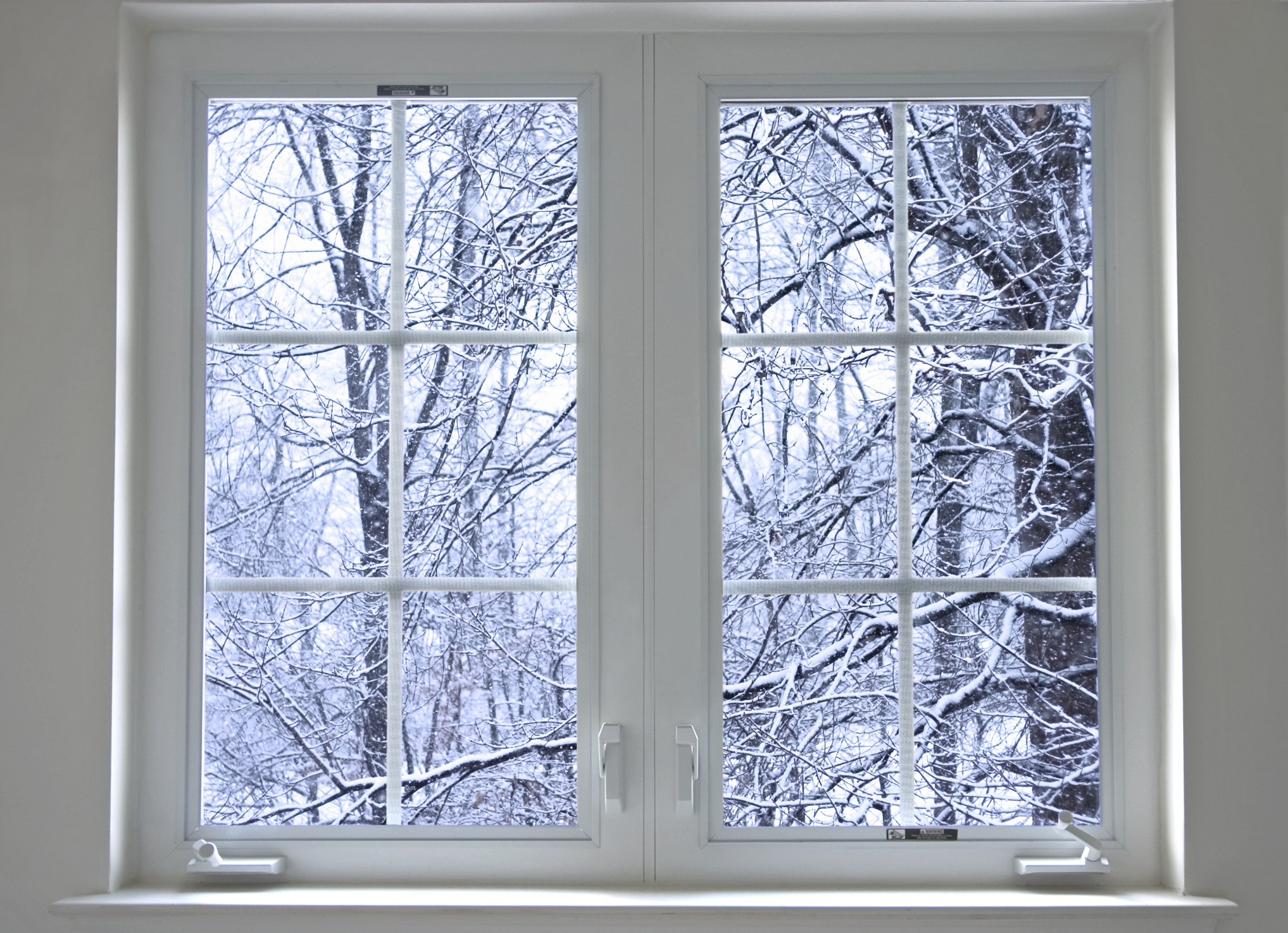 Beat Winter Pests