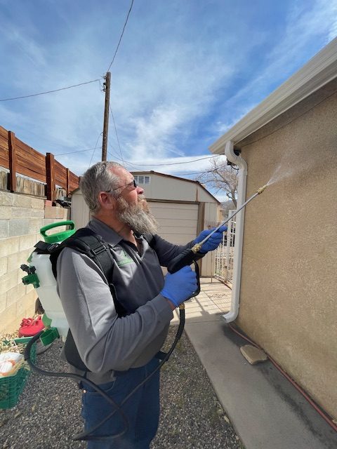 Pest control services