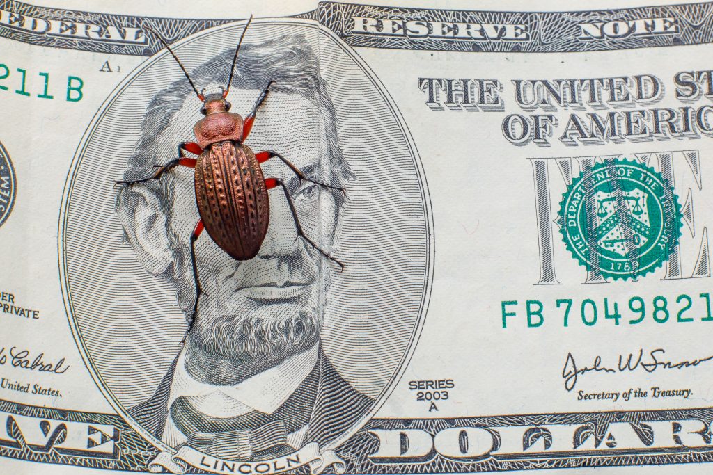 Average Pest Control Cost Breakdown